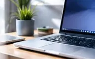 Open laptop on a bright wooden desk next to a small potted plant